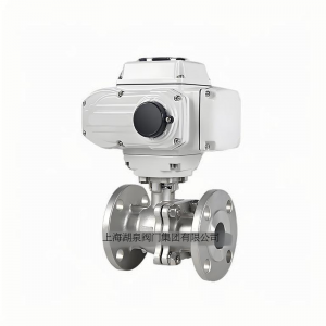 上海湖泉Q941F-10 DN65智能一體型電動(dòng)球閥