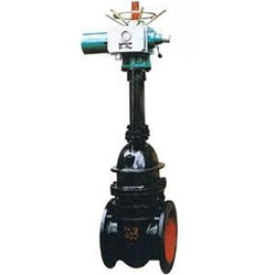 Z941T、Z941W、Z941H 型 PN10、PN16 鐵制電動(dòng)楔